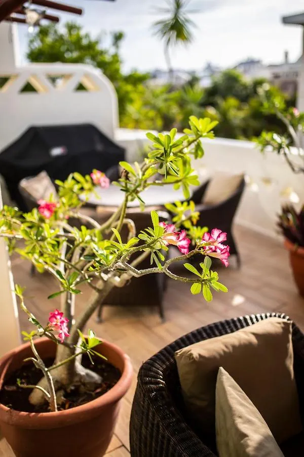 Апартаменты Penthouse Holiday Playa Del Carmen At Mamitas Beach