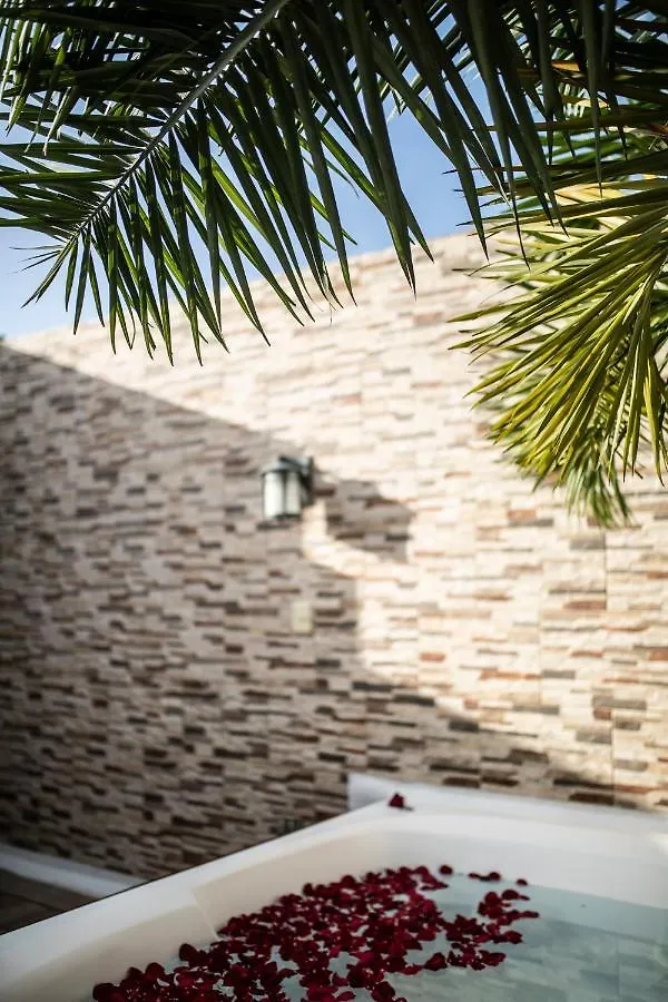 公寓 Penthouse Holiday Playa Del Carmen At Mamitas Beach公寓